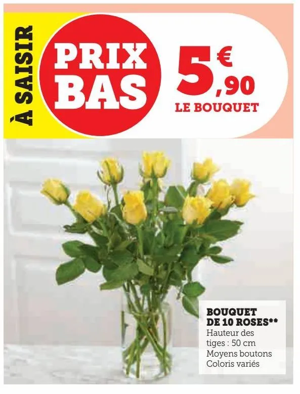 bouquet de 10 roses **