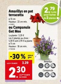 Amarillys en pot terracotta  o 13 cm Hauteur: 22 cm min. ²22003  ou Campanule Get Mee  LA-PLANTE  La plante: 3,29 €  Les 2 plantes au choix:  5,59 € soit 2,79 € la plante  o 11 cm  Hauteur: 18 cm min.