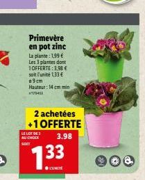 Primevère en pot zinc  La plante: 1,99 € Les 3 plantes dont 1OFFERTE:3,98 € soit l'unité 1,33 € a9cm  Hauteur: 14 cm min 094  2 achetées  +1 OFFERTE  LE LOT DE  AU CHOIX 3.98  SOIT 