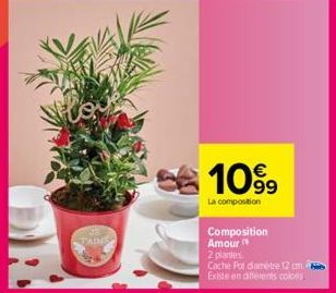 TAIMS  10%⁹9  La composition  Composition Amour" 2 plantes  Cache Pot diamètre 12 cm Existe en différents coloss 