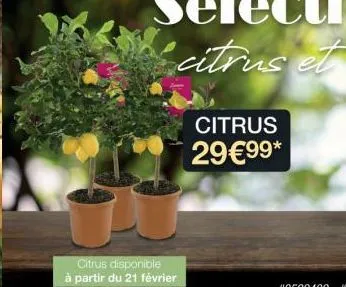 citrus disponible  à partir du 21 février  citrus 29€99* 