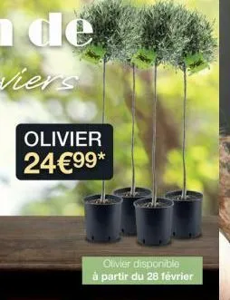 olivier 24€99*  olivier disponible  à partir du 28 février 