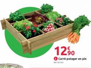 12⁹0  Carré potager en pin  R6 501322 