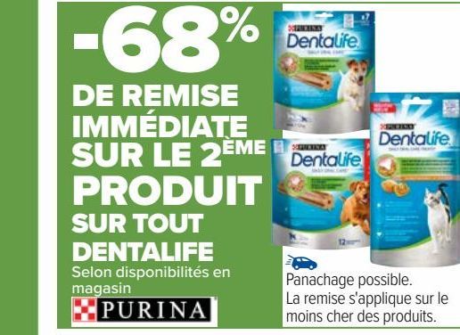 TOUT DENTALIFE