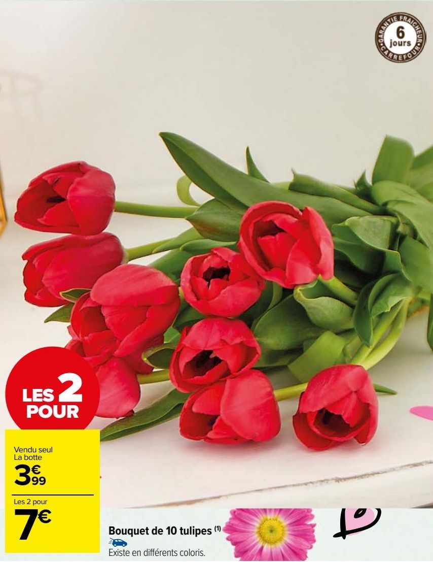 bouquet de 10 tulipes