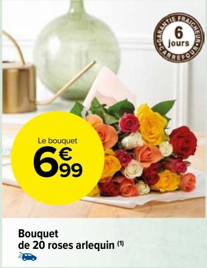 bouquet de 20 roses arlequin