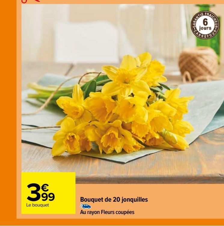 Bouquet de 20 jonquilles