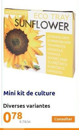 WATERPROOF ECO TRAY SUNFLOWER  ZONNEBLOEM SONNENBLUME  TOURNESOL  GIRASOLE  GIRASOL  0.78/st  SŁONECZNIK  SLUNEČNICE  SLNEČNICE  GIRASSOL  Mini kit de culture  Diverses variantes  078  Consulter 