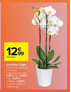 12.9⁹  Lorchide  Orchidée 3 tiges 012 cm avec cache pot  céramique  Existe aussi en 2 tiges: 9,99 €, mini 8,99 €. vase: 15,99 C multiora 14,99 € et autres modeles différents prix 