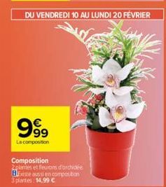 999  La composition  Composition 2plantes et fleurons d'archidée Existe aussi en composition 3 plantes: 14,99 € 