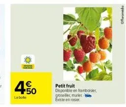 4.50  €  la bole  petit fruit disponible en framboisier, groselle murier existe en rosier  oformida 