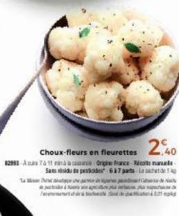 20  Choux-fleurs en fleurettes  62993-A741 minà a casa Origine France com Samude pessides 637 parts Lechet de  wel  about a de  juh  p S 