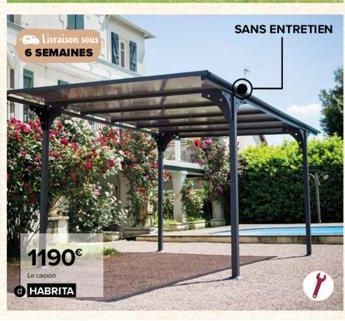 Livraison sous 6 SEMAINES  1190€  Le capon  HABRITA  SANS ENTRETIEN 