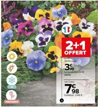 printemps  to  2+1  offert  vendu seul  399  la barquette de 10 plants  les 3 pour  €  798  lunité(e): 2,66 € 