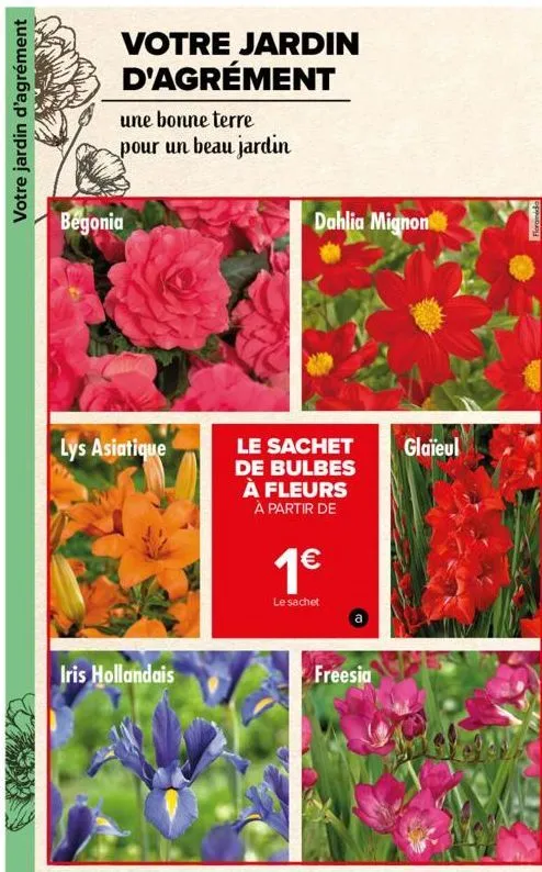 votre jardin d'agrément  votre jardin d'agrément  une bonne terre pour un beau jardin  begonia  lys asiatique  iris hollandais  dahlia mignon  le sachet de bulbes à fleurs à partir de  1€  le sachet  