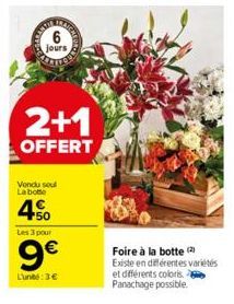 jours  2+1  OFFERT  Vendu sou La botte  450  Les 3 pour  9€  L'unité:3€  Foire à la botte (2) Existe en différentes variétés et différents coloris e Panachage possible. 