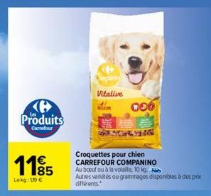 croquettes pour chien Carrefour