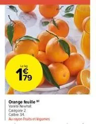 lekg  19⁹9  79  orange feuille variete newhal  catégorie 2 