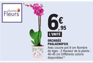 Quartier)  Fleurs  ,95  L'UNITÉ  ORCHIDÉE PHALAENOPSIS  Avec couvre pot 9 cm Nombre de tiges: 2 Hauteur de la plante: 40-45 cm Différents coloris disponibles 