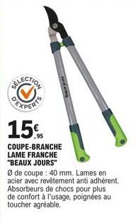 coupe-branche 