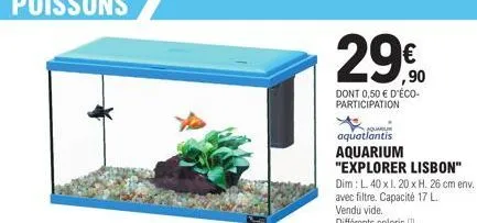 aquarium 