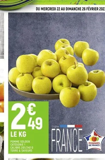 2  le kg  pomme golden catégorie 1 calibre 201/240 g terre & saveurs  € 49  du mercredi 22 au dimanche 26 février 2023  origing  france  pommes de france 