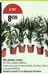 LE POT  8€99  Mix plantes vertes Fit 14cm, hauteur 50/65cm  Existe aussi dans d'autres variétés, d'autres tailles et  à des prix differents  Valable du mardi 21 au dimanche 26 février 