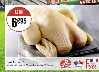 poulet 