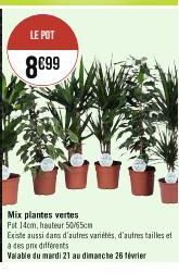 LE POT  8€99  Mix plantes vertes Fit 14cm, hauteur 50/65cm  Existe aussi dans d'autres variétés, d'autres tailles et  à des prix differents  Valable du mardi 21 au dimanche 26 février 