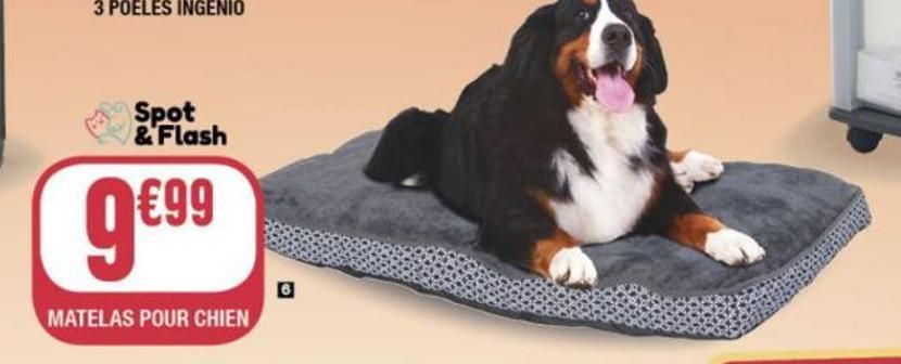 matelas pour chien