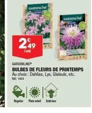 gardenline  249  l'  gardenne  gardenline  bulbes de fleurs de printemps au choix: dahlias, lys, glaieuls, etc. rm 1484 