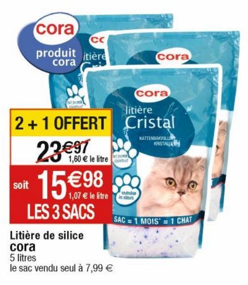 litière pour chats Cora