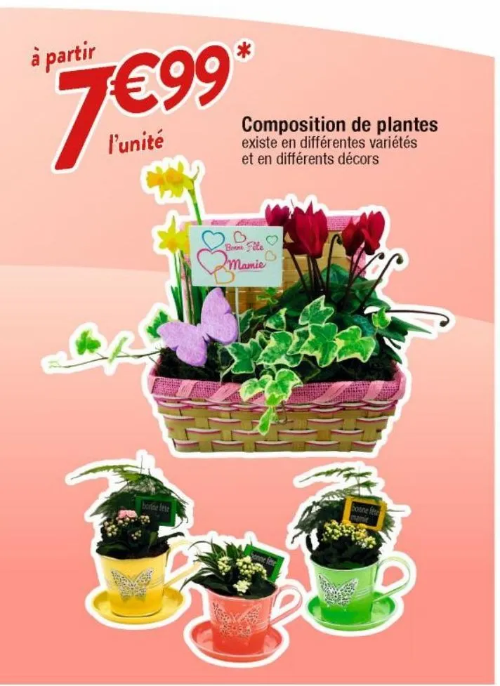 plantes à fleurs