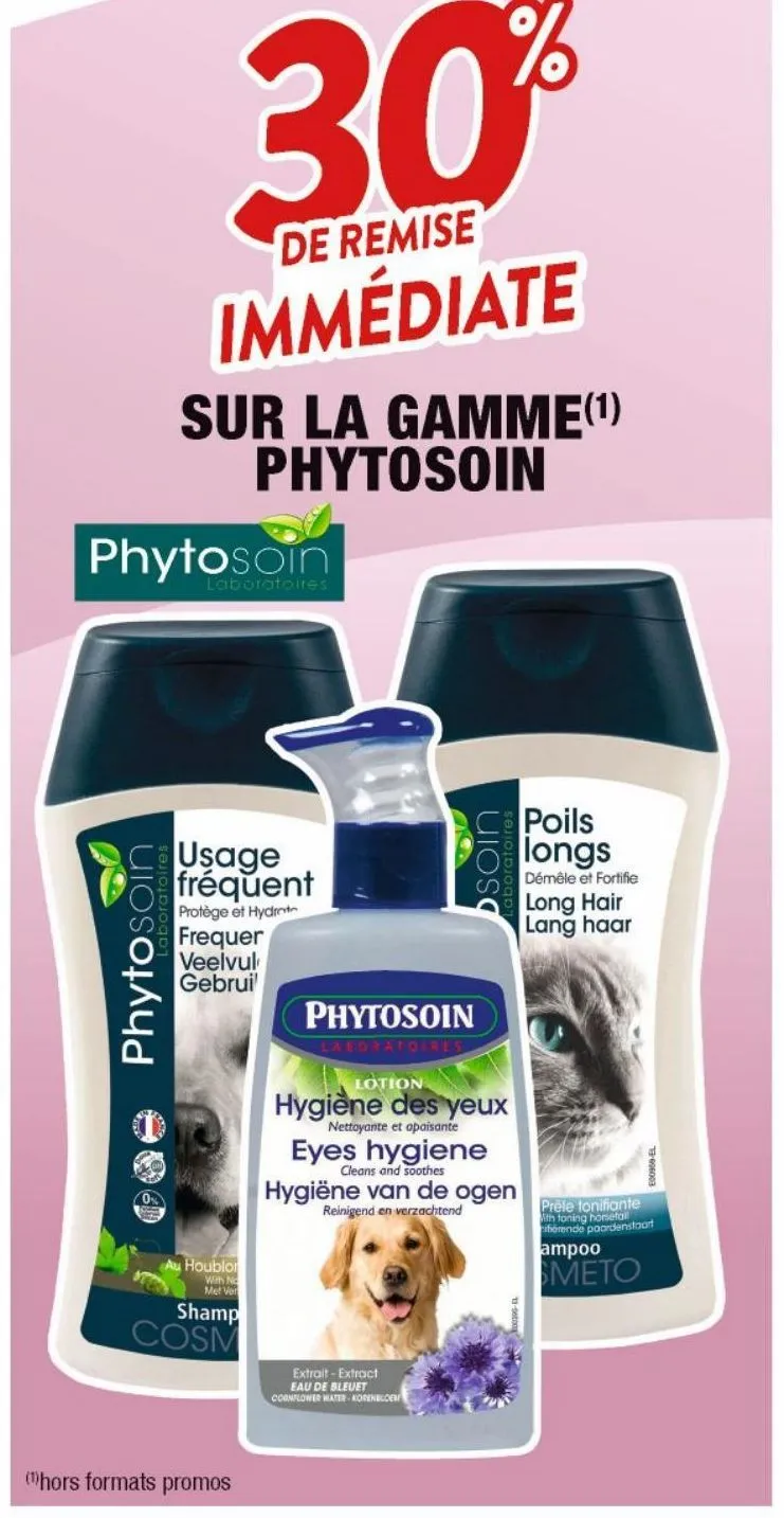 shampoing pour chiens