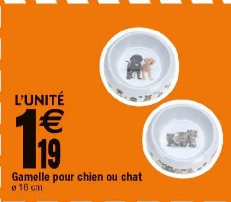 gamelle pour chiens