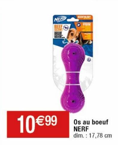 Jouets pour chiens