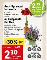 Amarillys en pot terracotta  o 13 cm Hauteur: 22 cm min. ²22003  ou Campanule Get Mee  LA-PLANTE  La plante: 3,29 €  Les 2 plantes au choix:  5,59 € soit 2,79 € la plante  o 11 cm  Hauteur: 18 cm min.