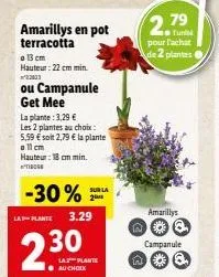 amarillys en pot terracotta  o 13 cm hauteur: 22 cm min. ²22003  ou campanule get mee  la-plante  la plante: 3,29 €  les 2 plantes au choix:  5,59 € soit 2,79 € la plante  o 11 cm  hauteur: 18 cm min.