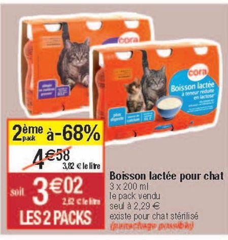 boisson lactée pour chat 