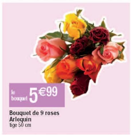 Bouquet de 9 roses Arlequin