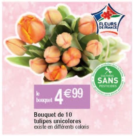 Bouquet de 10 tulipes unicolores