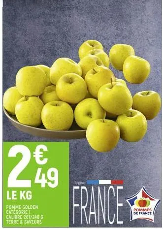 le kg  pomme golden catégorie 1 calibre 201/240 g terre & saveurs  € 49  ongine  france  pommes de france 