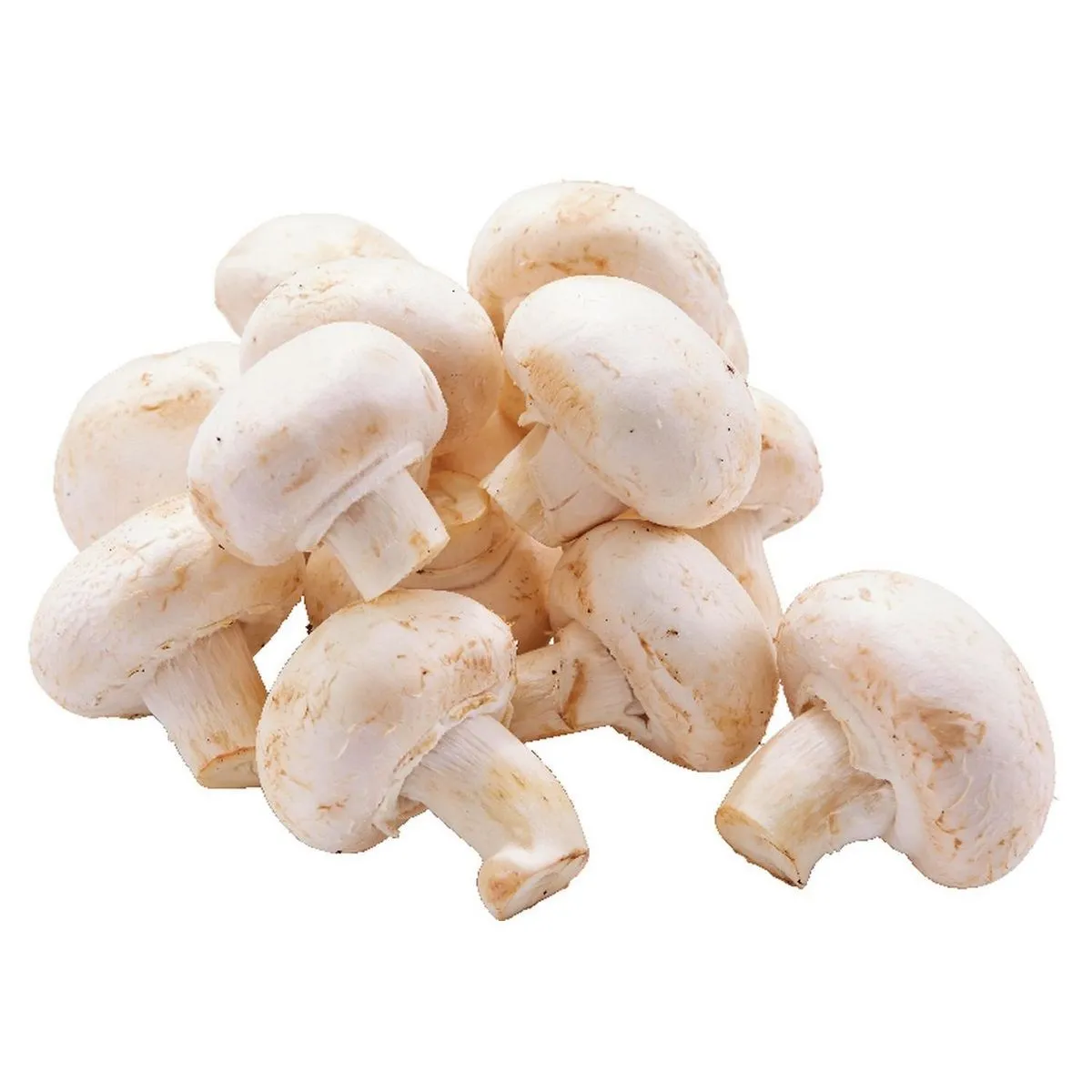 champignons blancs
