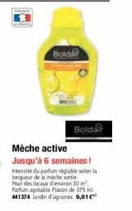 Boldair  Boldair  Mèche active  Jusqu'à 6 semaines!  Intensité du parfum réglable selon la longueur de la méche sortie. Pour des locaux d'environ 30 m². Parfum agréable. Flacon de 375 ml. 441374 Jardi