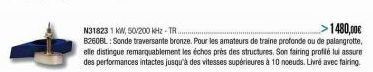 >1480,00€  N31823 1 KW, 50/200 kHz-TR..  B260BL: Sonde traversante bronze. Pour les amateurs de traine profonde ou de palangrotte, elle distingue remarquablement les échos près des structures. Son fai