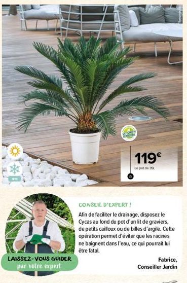 LAISSEZ-VOUS GUIDER par votre expert  CONSEIL D'EXPERT!  Afin de faciliter le drainage, disposez le Cycas au fond du pot d'un lit de graviers, de petits cailloux ou de billes d'argile. Cette opération