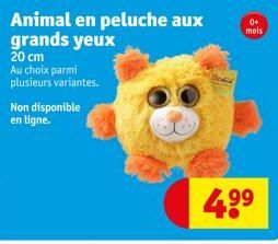 peluche 