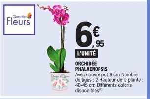 Quartier)  Fleurs  ,95  L'UNITÉ  ORCHIDÉE PHALAENOPSIS  Avec couvre pot 9 cm Nombre de tiges: 2 Hauteur de la plante: 40-45 cm Différents coloris disponibles 