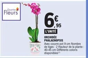 quartier)  fleurs  ,95  l'unité  orchidée phalaenopsis  avec couvre pot 9 cm nombre de tiges: 2 hauteur de la plante: 40-45 cm différents coloris disponibles 