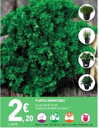 plantes aromatiques Mars